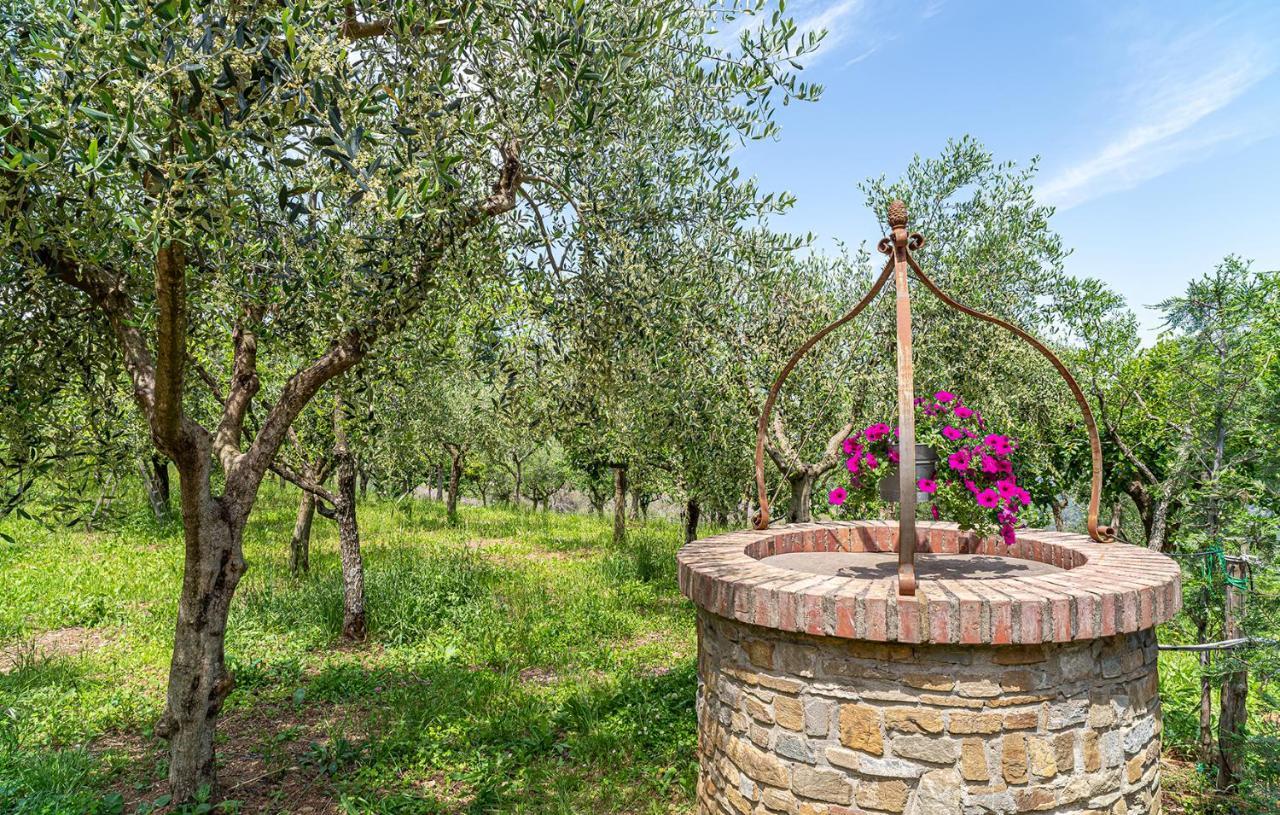 Residence Villa Rosi Laureana Cilento Exteriér fotografie